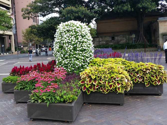 Custom Planters, Hyde Park Barracks, City of Sydney, Citywide.jpg